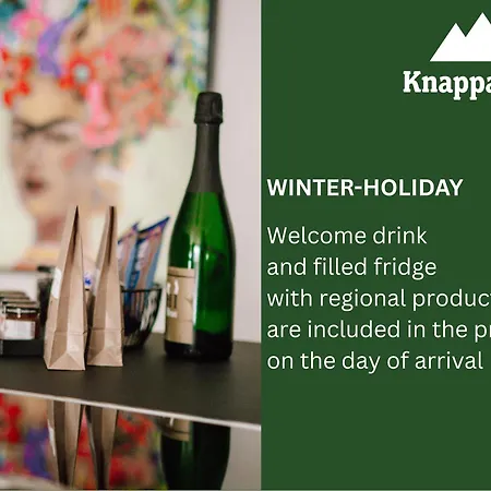 Aparthotel Knappaboda 4*